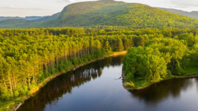 In 2020, conservation partners began securing Maine’s Chadbourne Tree Farm; six years later, more than 27,000 acres of working forest are permanently protected from development. The forest remains open to the public