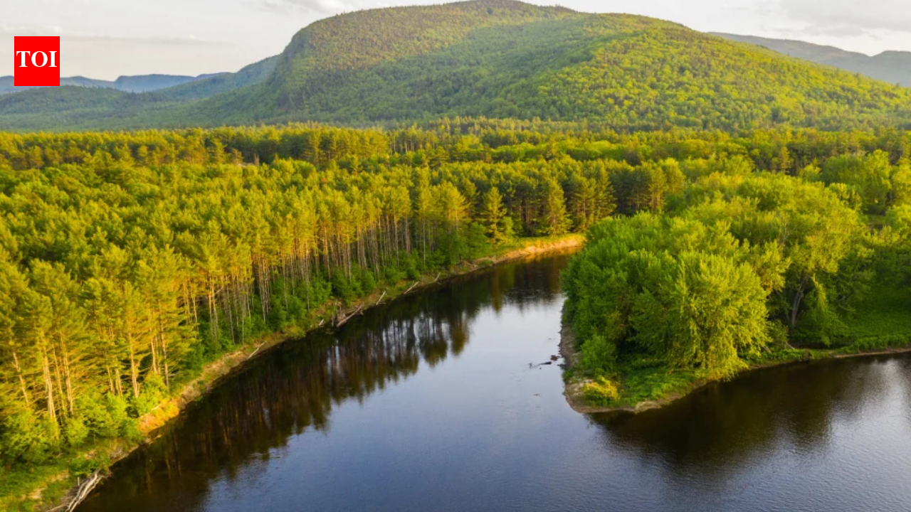 Maine Forest Protections Secure Jobs: Coalition preserves 27,000 acres; working forest still supports timber, recreation
