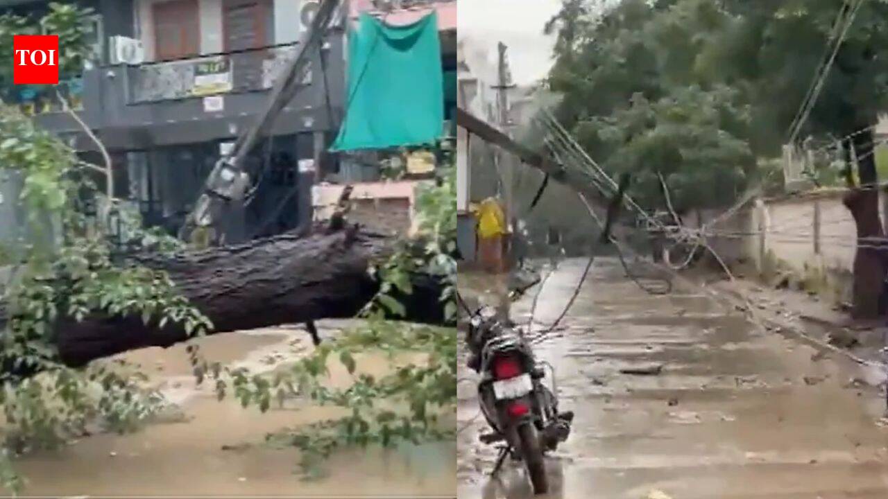 Tree uprooted in Gurgaon's Sector 46 after continuous rainfall; power supply disrupted