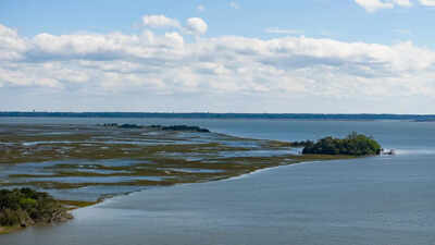 University of Georgia secures $8 million NOAA grant to plan restoration of 326 acres of salt marsh across four states using dredged sediment