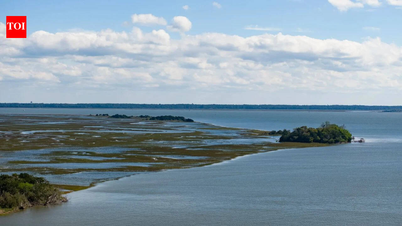 University of Georgia secures $8 million NOAA grant to plan restoration of acres of salt marsh
