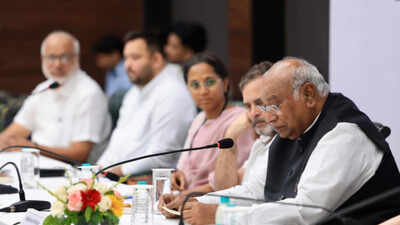 INDIA bloc postpones 'public impeachment' of CEC Gyanesh Kumar due to rains
