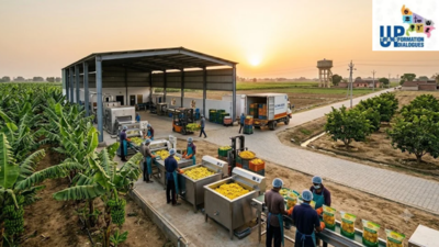 Kaushambi: Agricultural strength to economic diversification