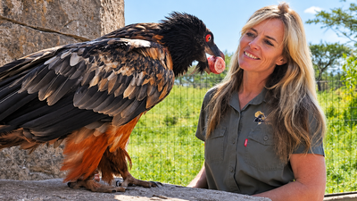 Meet Shannon Hoffman, the South African conservationist raising bone-eating vultures to protect one of the region’s most threatened birds, with fewer than 400 remaining in the wild