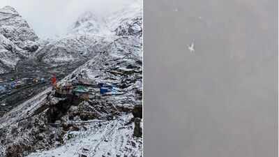 Uttarakhand helicopter crash: Chopper went missing near Joshimath; passengers were from Bengaluru - what we know so far