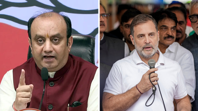 'Want to sow confusion': BJP targets Rahul Gandhi ahead of INDIA bloc's 'Delhi Chalo' march