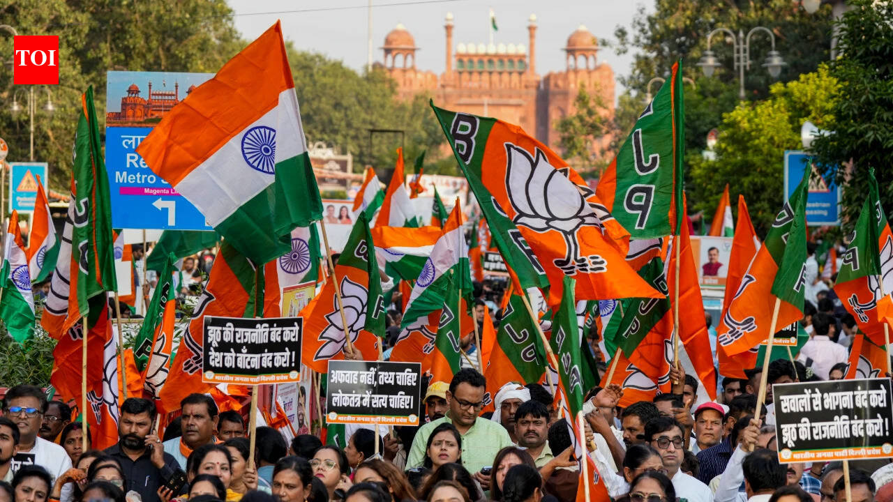 BJP plans counter-protest against INDIA bloc's 'Delhi Chalo' rally, 1984 anti-Sikh riots to be in focus