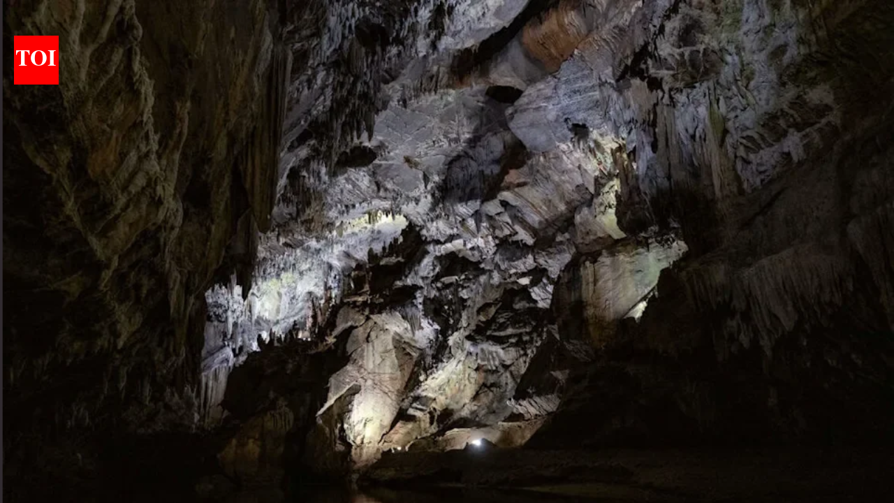 Penn's Cave, family-owned since 1908, goes up for sale for $34 million after 118 years