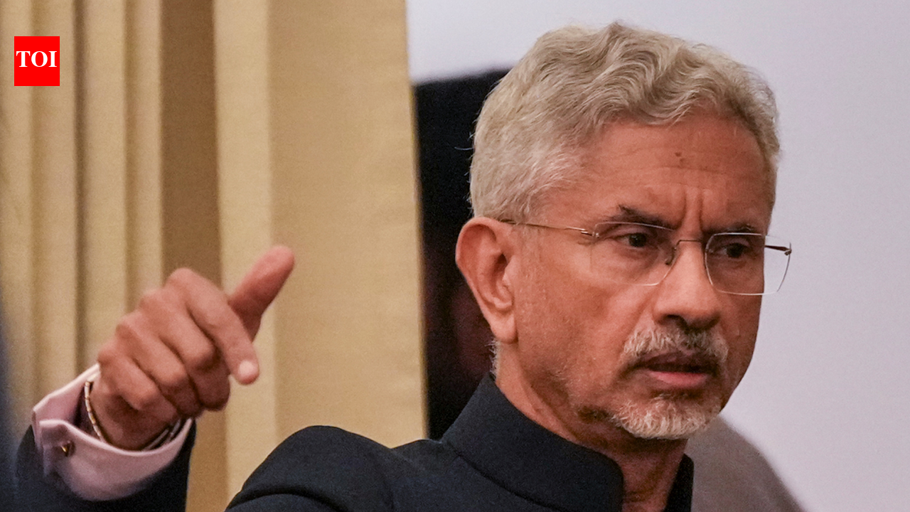 'Global South bears burden': EAM flags attacks on Indian seafarers in Hormuz at G20 meet