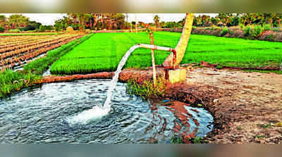 Rs 40k on repairs, no water guarantee: Borewell crisis hits T farms