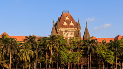 Bombay HC accepts apology of litigant who tried to throw her purse at judge