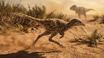 Dinosaurs as small as cats: Meet the tiny dinosaurs that lived in the shadow of giants