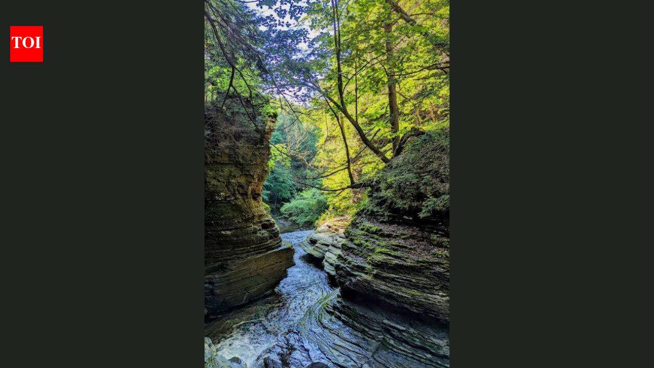 Land Trust Buys $1.3 Million Homestead to Expand Access to New York’s Buttermilk Falls State Park