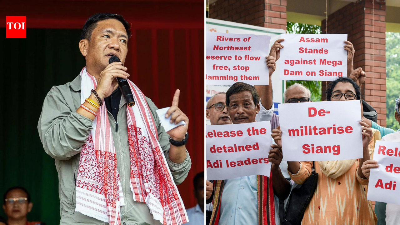 'Won't move forward without public': Arunachal CM amid protests over Siang project