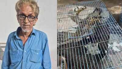 From UP forests to Gulf countries: Mumbai man held for smuggling 7 rare falcons worth Rs 14 crore
