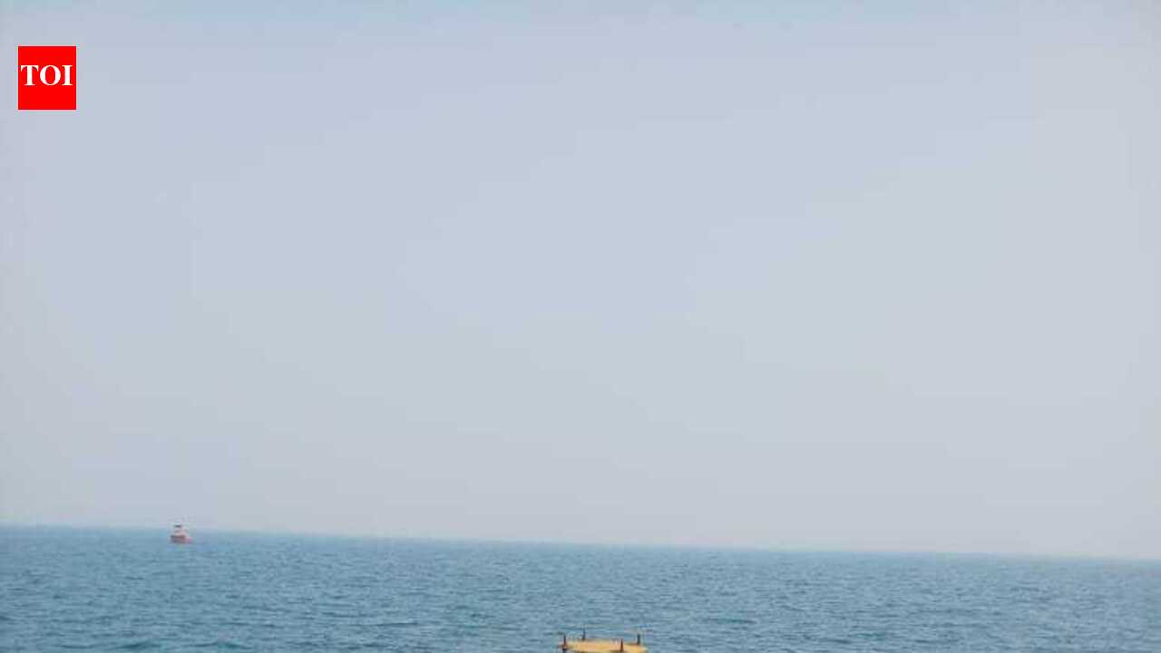7-month fishing ban in Gahirmatha marine sanctuary to protect Olive Ridley turtles