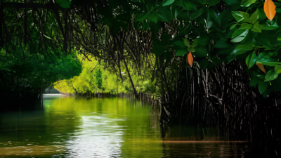 Mumbai mangrove cover shrinks 17.41% in 18 years, study warns of threat to coastal biodiversity, concerns over fish breeding habitats