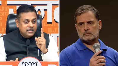 'Keep Rahul Gandhi mock PM for life': BJP's dig at INDIA bloc's 'public impeachment' of CEC