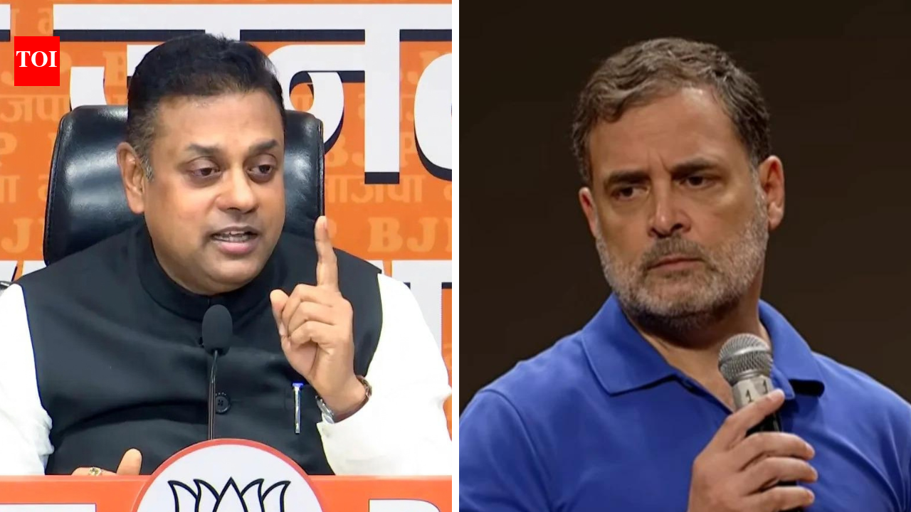 'Keep Rahul Gandhi mock PM for life': BJP's dig at INDIA bloc's 'public impeachment' of CEC