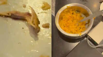 Chicken in veg biryani? Bengaluru airport eatery sparks outrage after family's shocking discovery