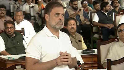 'Won't forgive and forget': Rahul Gandhi at 'CEC impeachment' event - top quotes