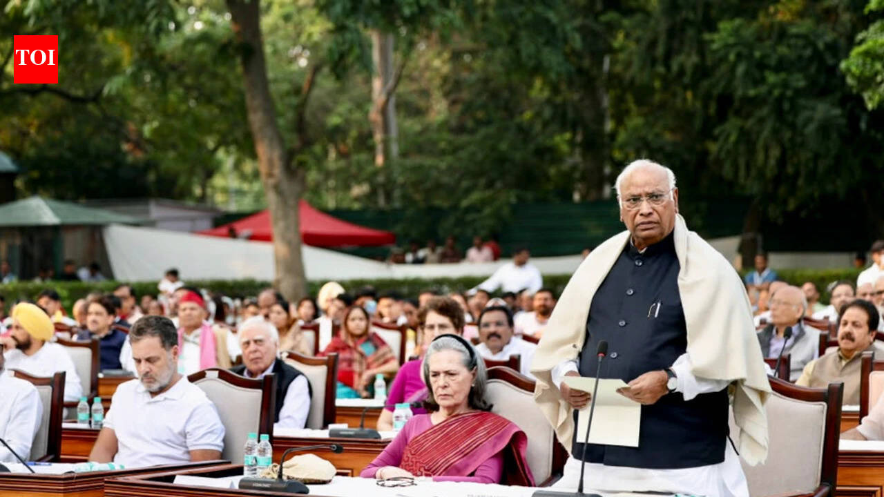 INDIA bloc 'impeaches' CEC in mock Parliament, but what will it take to remove him for real?