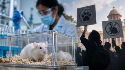 Animal testing in India: Why proposed new rules have sparked a fight over safeguards