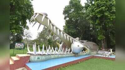 With Night Safari project moving ahead, Kukrail could emerge as Lucknow’s newest eco-tourism destination