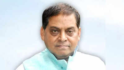 ‘An economic bulldozer should be run over dhanbalis’