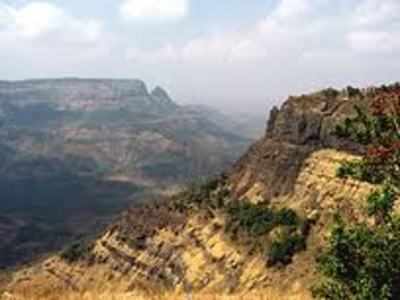 Green Tribunal seeks govt response on plea on Western Ghats