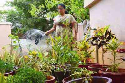Gardening during the monsoons