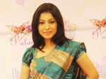 Sri Palam Silks unveils concept sarees