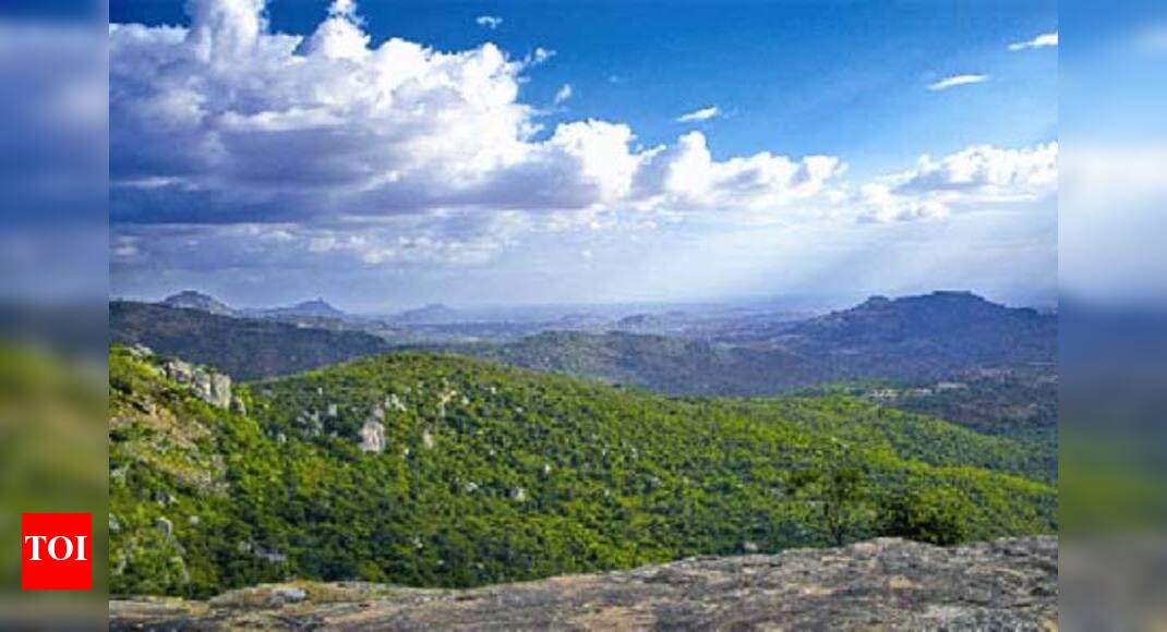 Chittoor's Horsley Hills touch the clouds Times of India