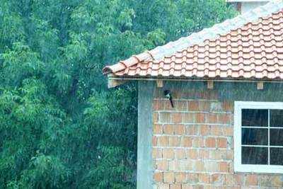 Prepare your home for the monsoon
