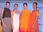 Wendell's collection launch