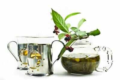 Discover the goodness of green tea