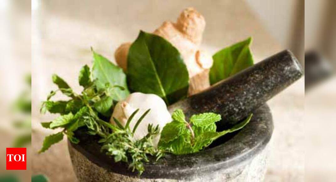 Top 6 Culinary Herbs And Their Uses Times Of India Top 6 Culinary Herbs And Their Uses Times Of India