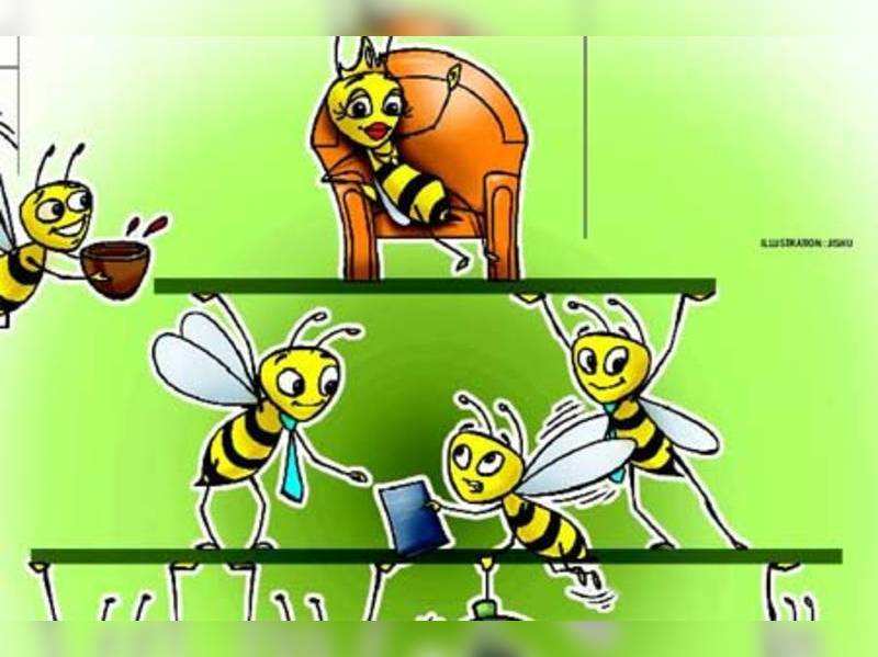 Work Like A Bee In A Beehive Times Of India