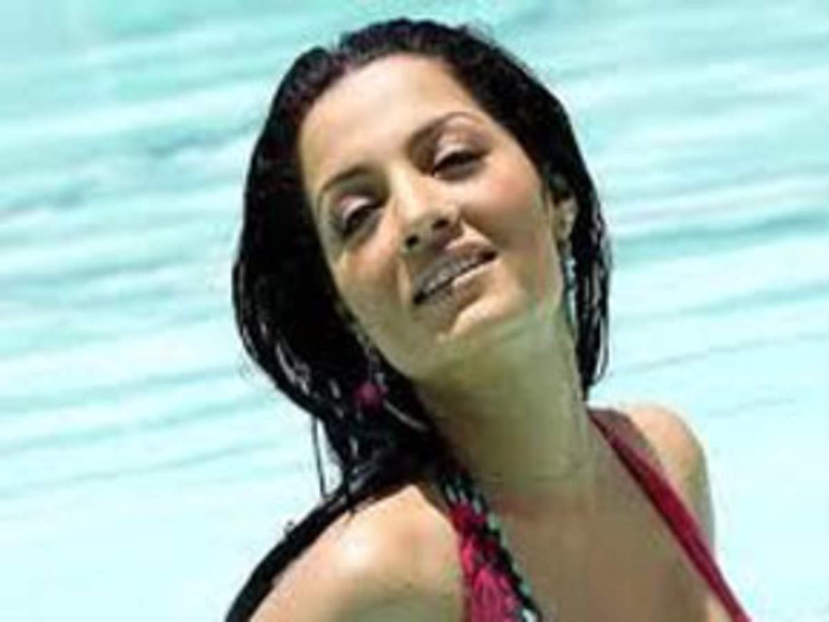 Celina Jaitley to make a comeback soon