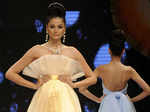 IIJW'12: Dynamic International