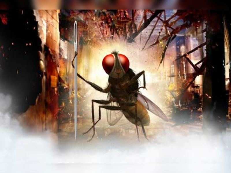 Rajamouli Eega: Eega nominated for India's Oscar entry | Telugu ...