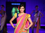 Blenders Pride show in Kolkata