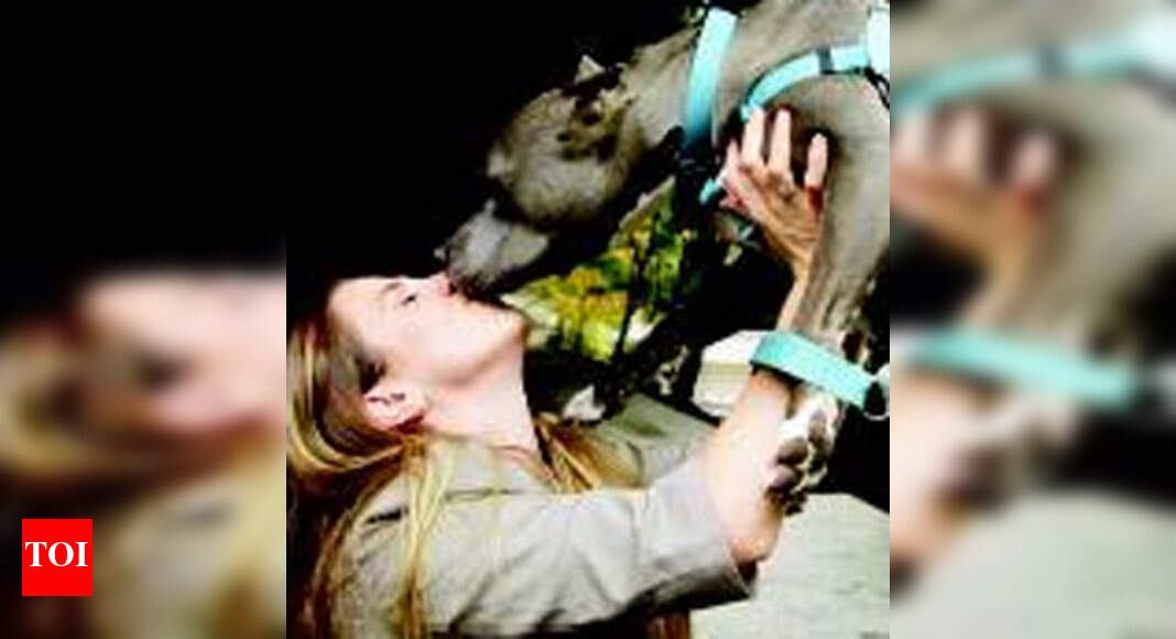 Periodontal Problems Kissing dogs can cause gum disease Times of India