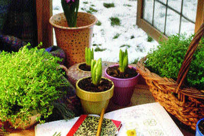 Make a home garden journal