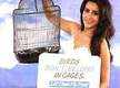 
Priya Anand endorses PETA's new campaign
