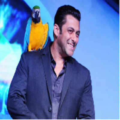 It’s all about the ladies on Bigg Boss-6