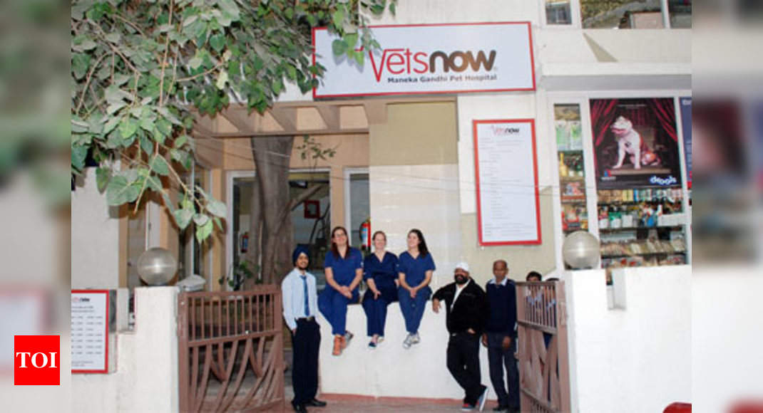 India's first veterinary clinic for pet care in Delhi - Times of India