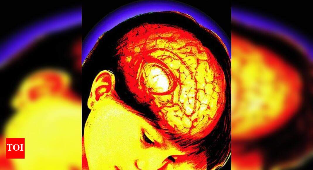 New Type Of Nerve Cell Discovered In The Brain Times Of India