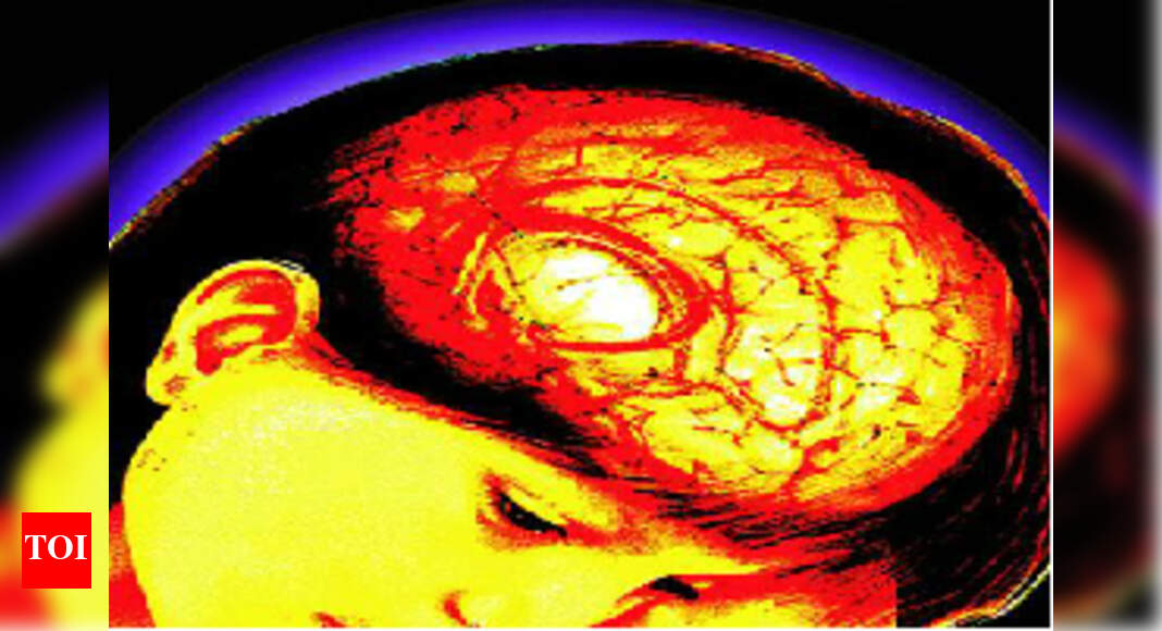 nerve cell: New type of nerve cell discovered in the brain - Times of India