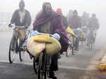 North India under grip of cold wave